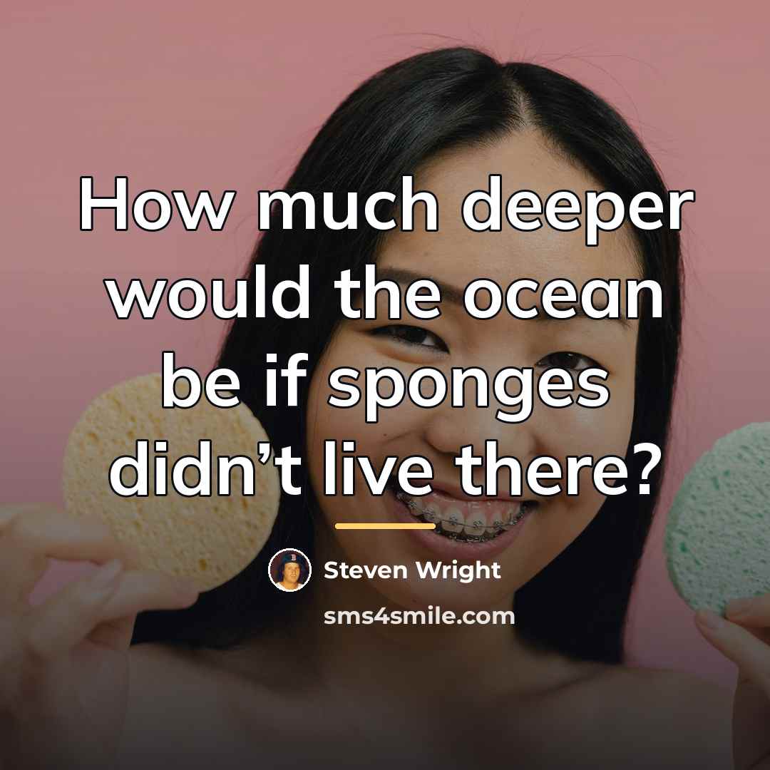 “How much deeper would the ocean be if sponges didn’t…” quote by Steven Wright
