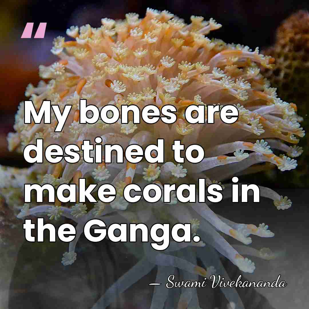My bones are destined to make corals in the Ganga. - Swami Vivekananda