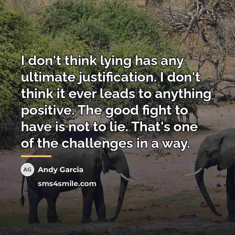 “I don't think lying has any ultimate justification. I don't…” quote by Andy Garcia