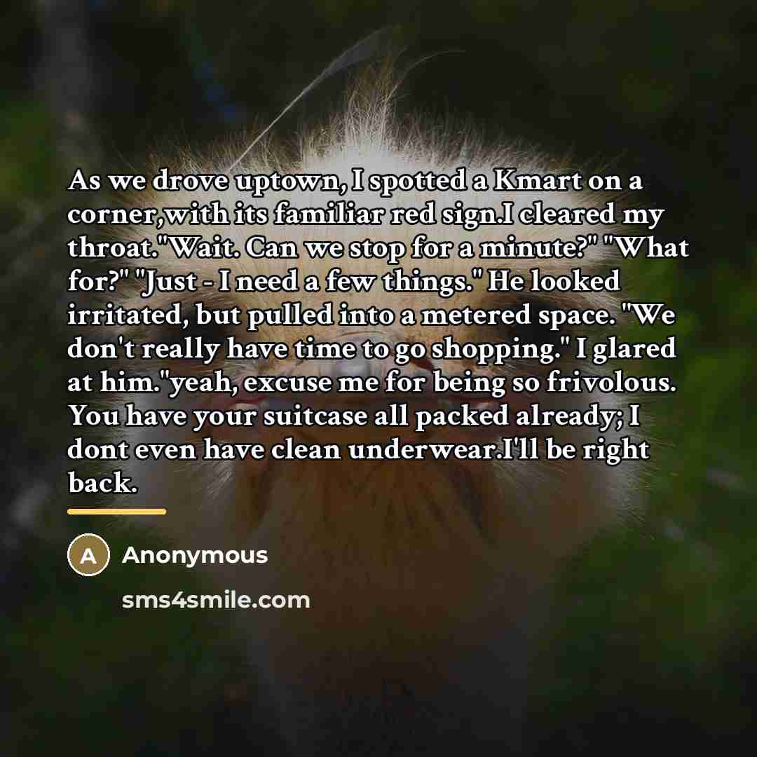 “As we drove uptown, I spotted a Kmart on a…” quote by Anonymous