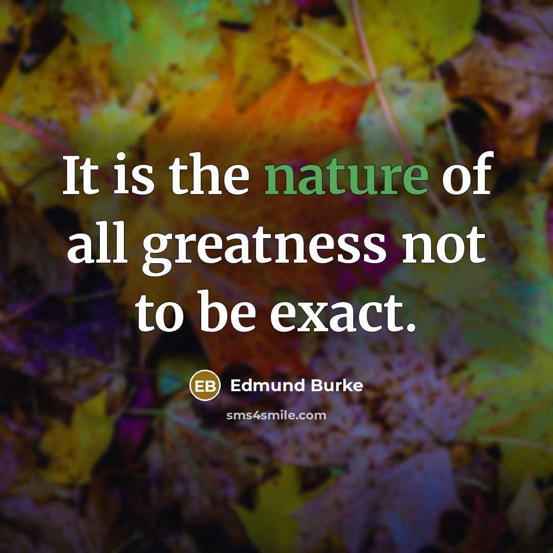 “It is the nature of all greatness not to be…” quote by Edmund Burke
