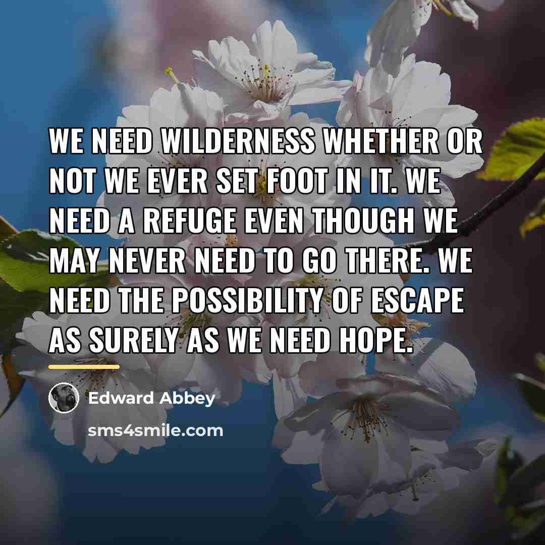 “We need wilderness whether or not we ever set foot…” quote by Edward Abbey