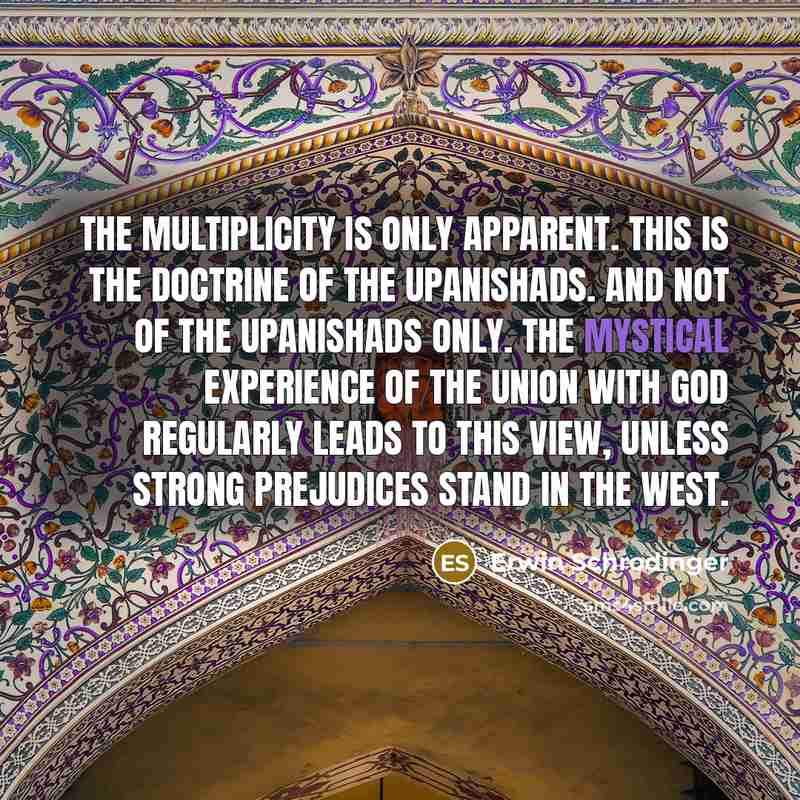 “The multiplicity is only apparent. This is the doctrine of…” quote by Erwin Schrodinger