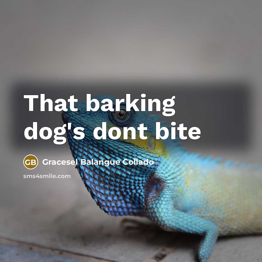 “That barking dog's dont bite” quote by Gracesel Balangue Collado