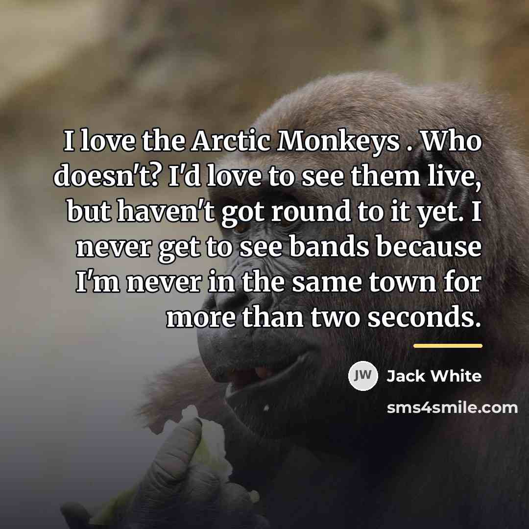 “I love the Arctic Monkeys . Who doesn't? I'd love…” quote by Jack White