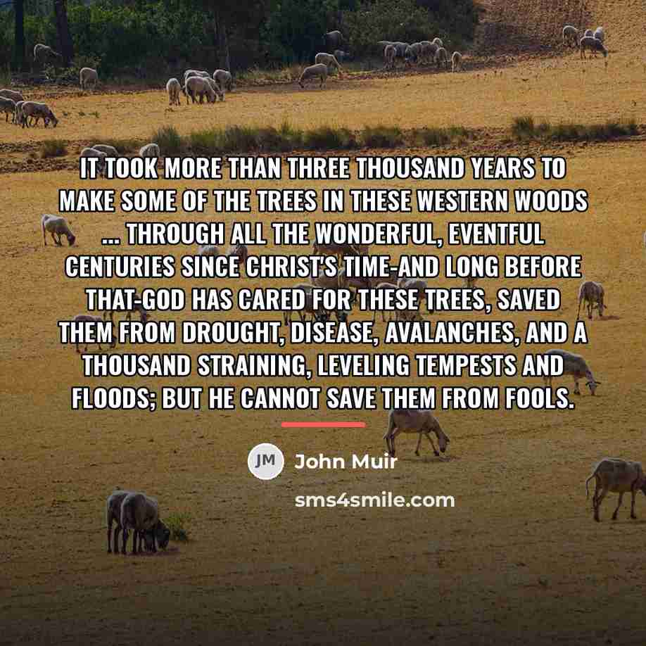 “It took more than three thousand years to make some…” quote by John Muir