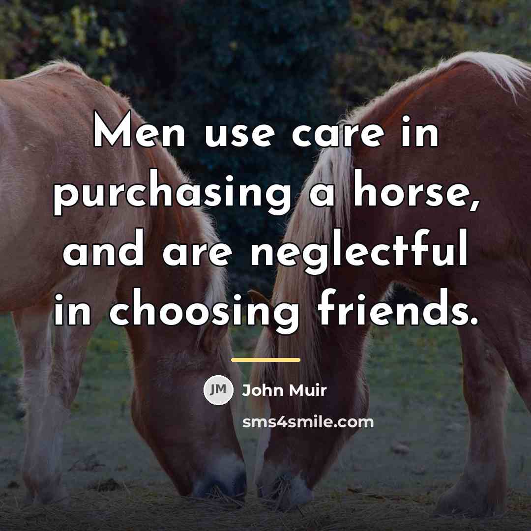 “Men use care in purchasing a horse, and are neglectful…” quote by John Muir