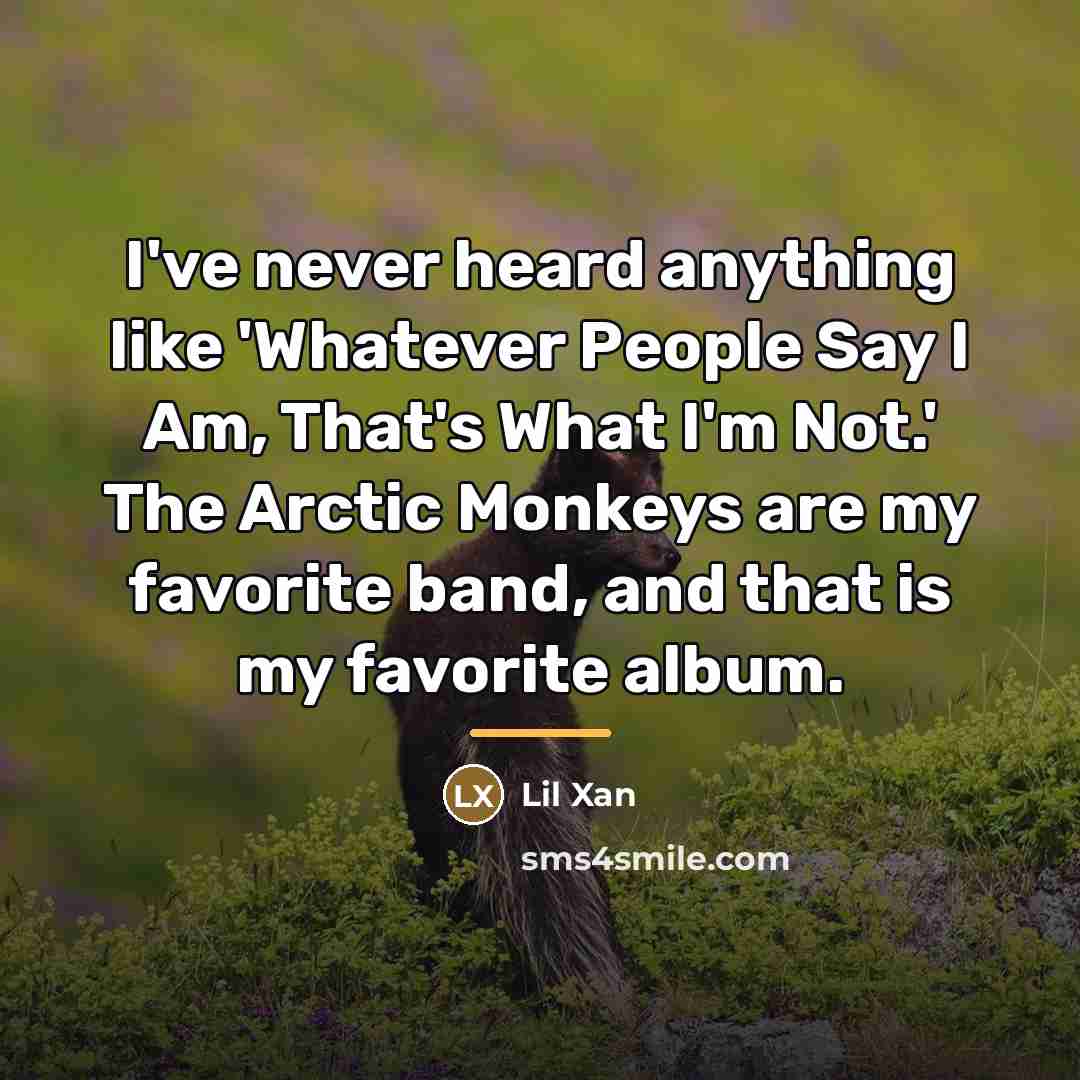 “I've never heard anything like 'Whatever People Say I Am,…” quote by Lil Xan