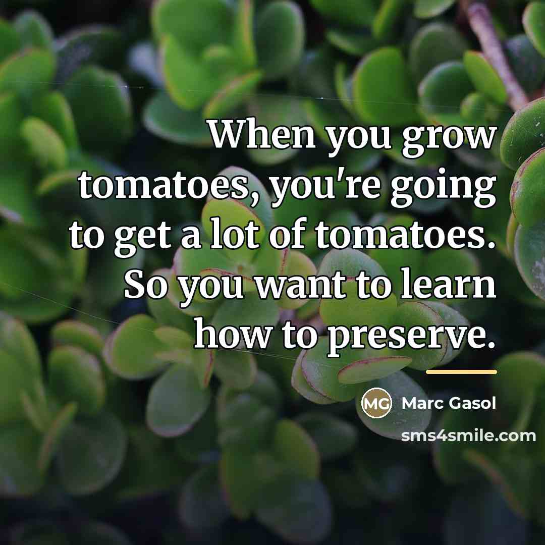 “When you grow tomatoes, you're going to get a lot…” quote by Marc Gasol