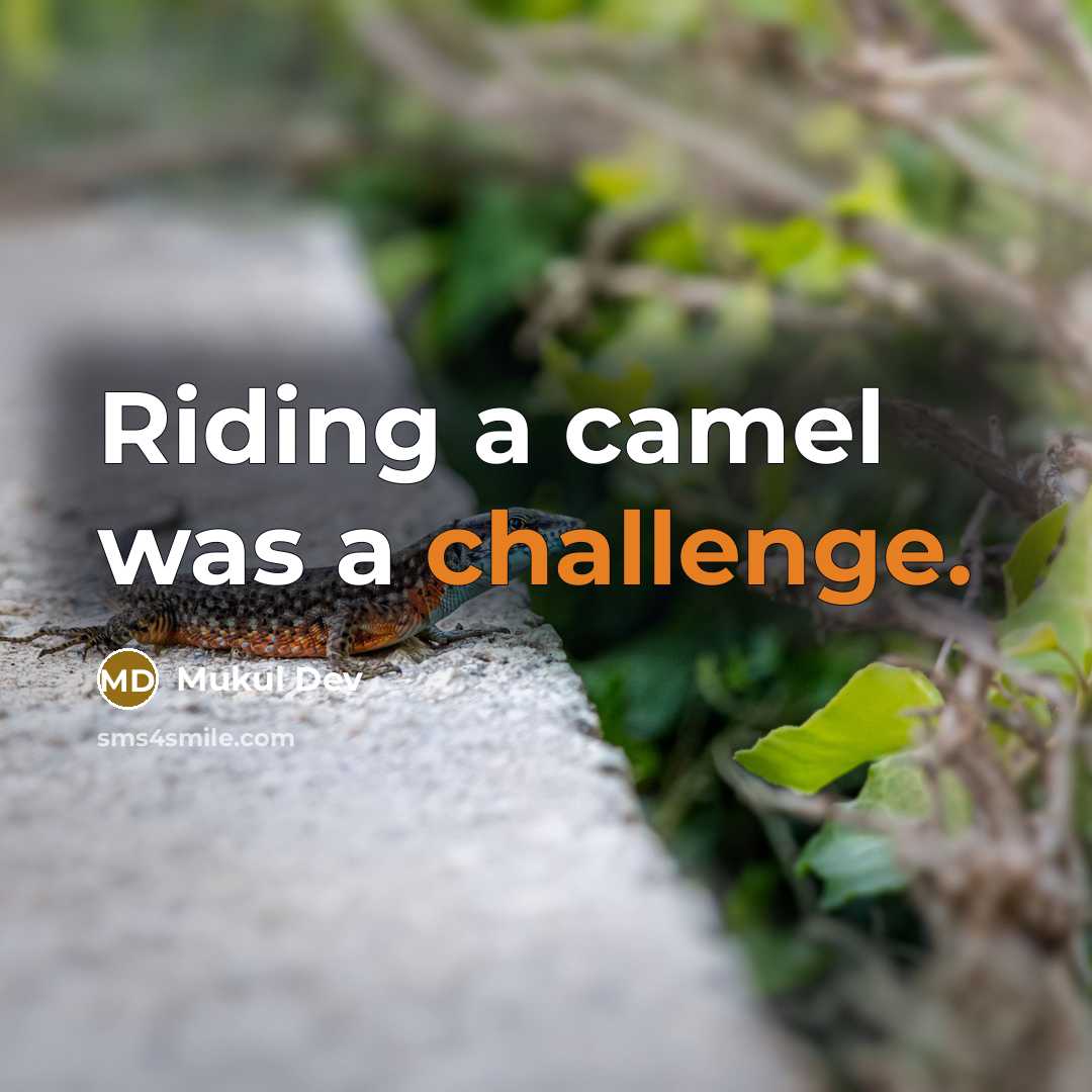 “Riding a camel was a challenge.” quote by Mukul Dev