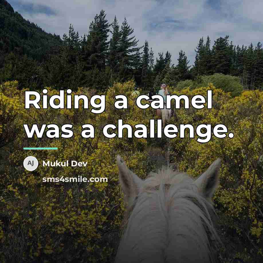 “Riding a camel was a challenge.…” quote by Mukul Dev