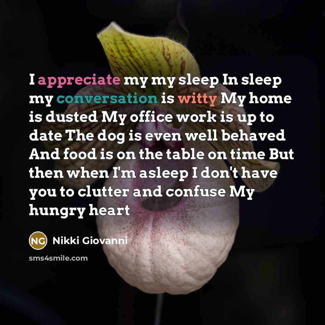 “I appreciate my my sleep In sleep my conversation is…” quote by Nikki Giovanni