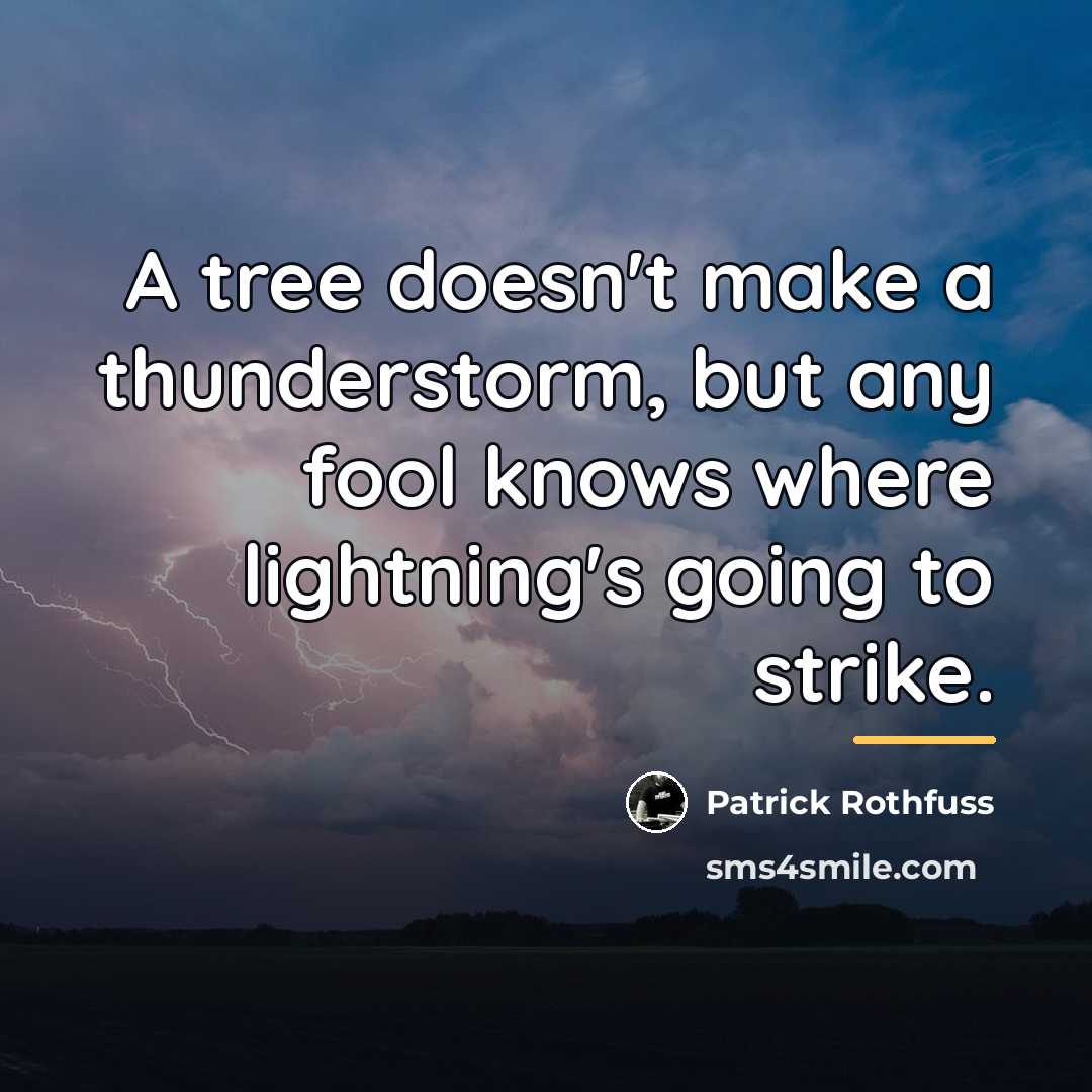 “A tree doesn't make a thunderstorm, but any fool knows…” quote by Patrick Rothfuss
