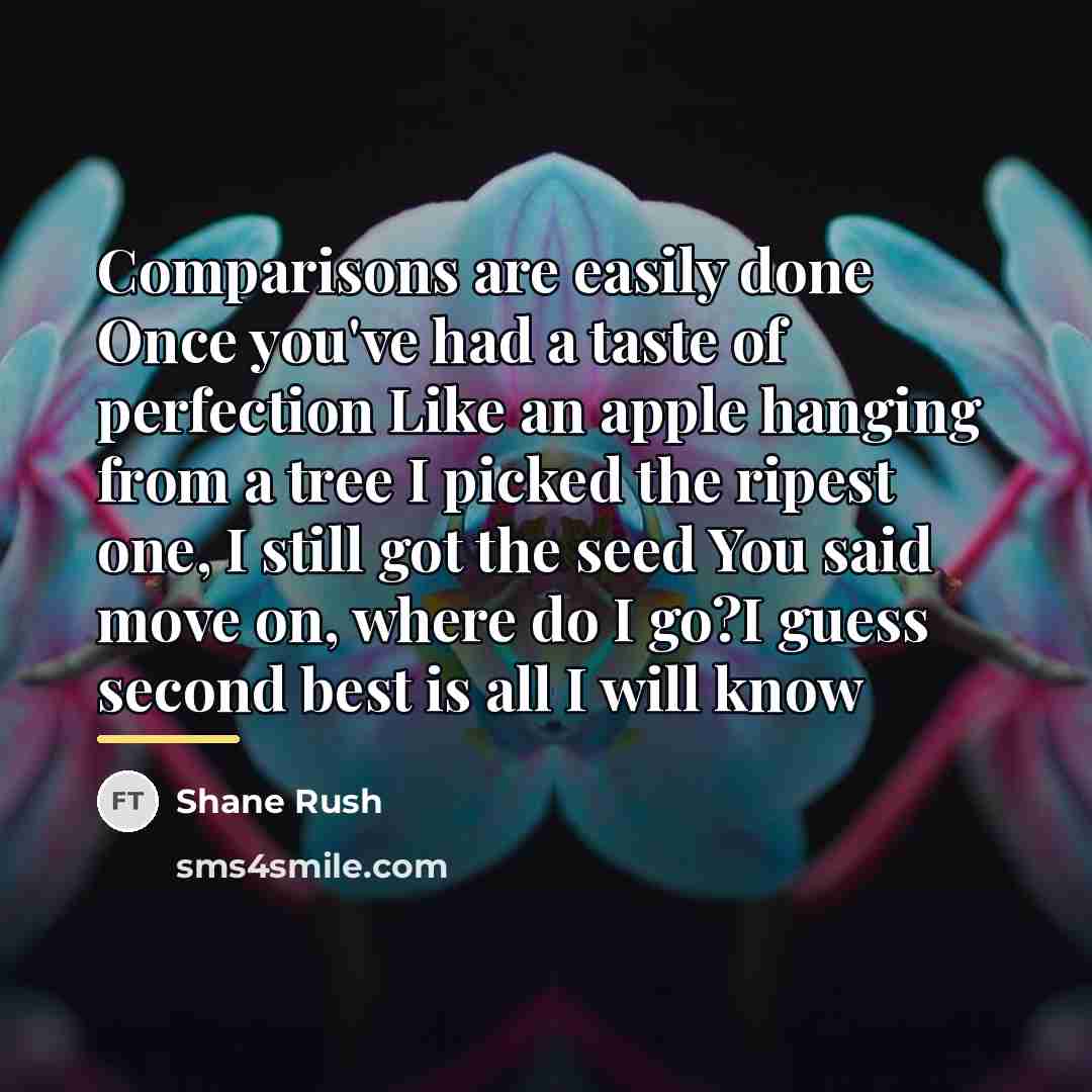 “Comparisons are easily done Once you've had a taste of…” quote by Shane Rush