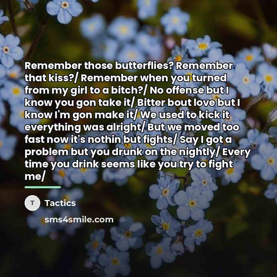 “Remember those butterflies? Remember that kiss?/ Remember when you turned…” quote by Tactics