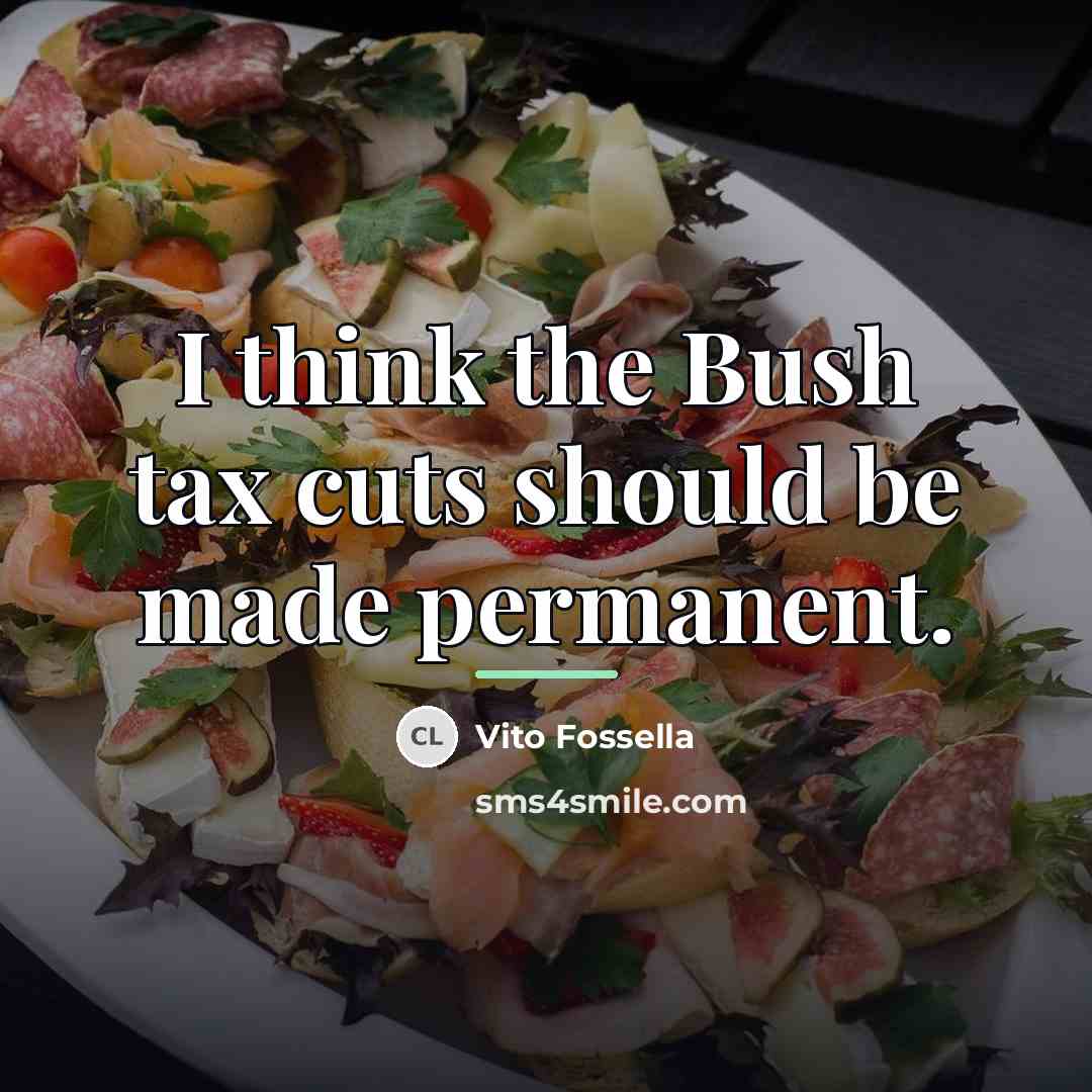 “I think the Bush tax cuts should be made permanent.…” quote by Vito Fossella