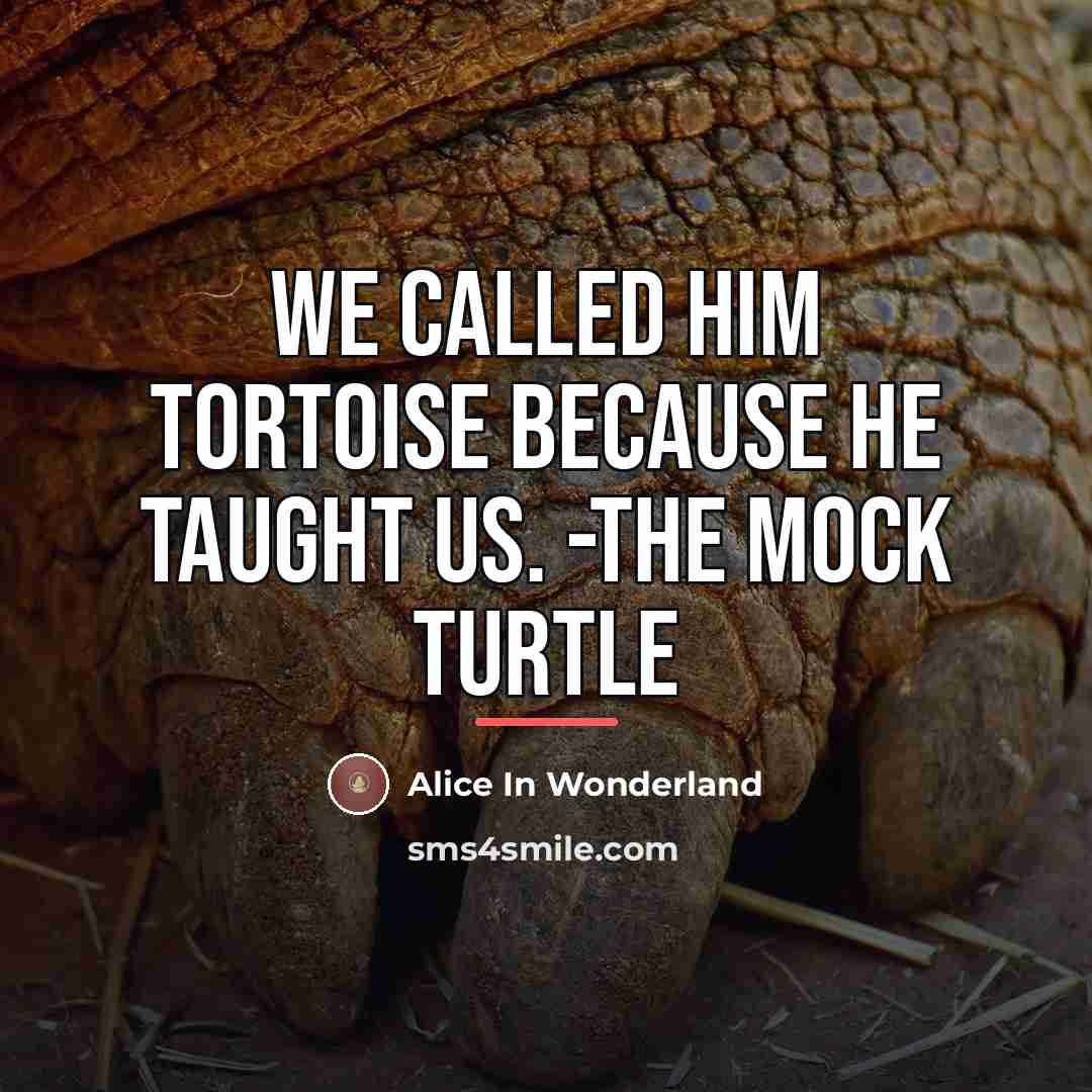“We called him Tortoise because he taught us. -The Mock…” quote by Alice In Wonderland