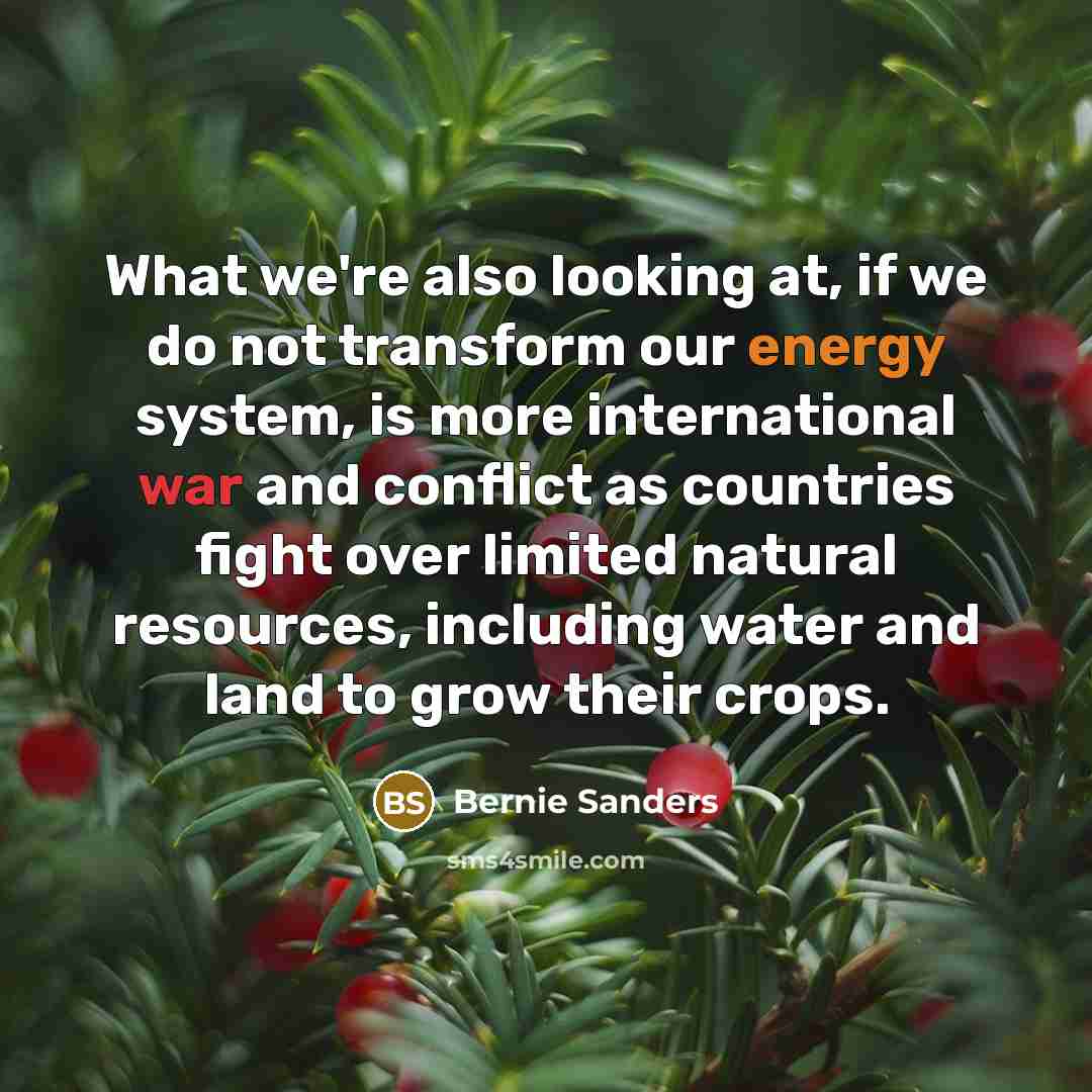 “What we're also looking at, if we do not transform…” quote by Bernie Sanders