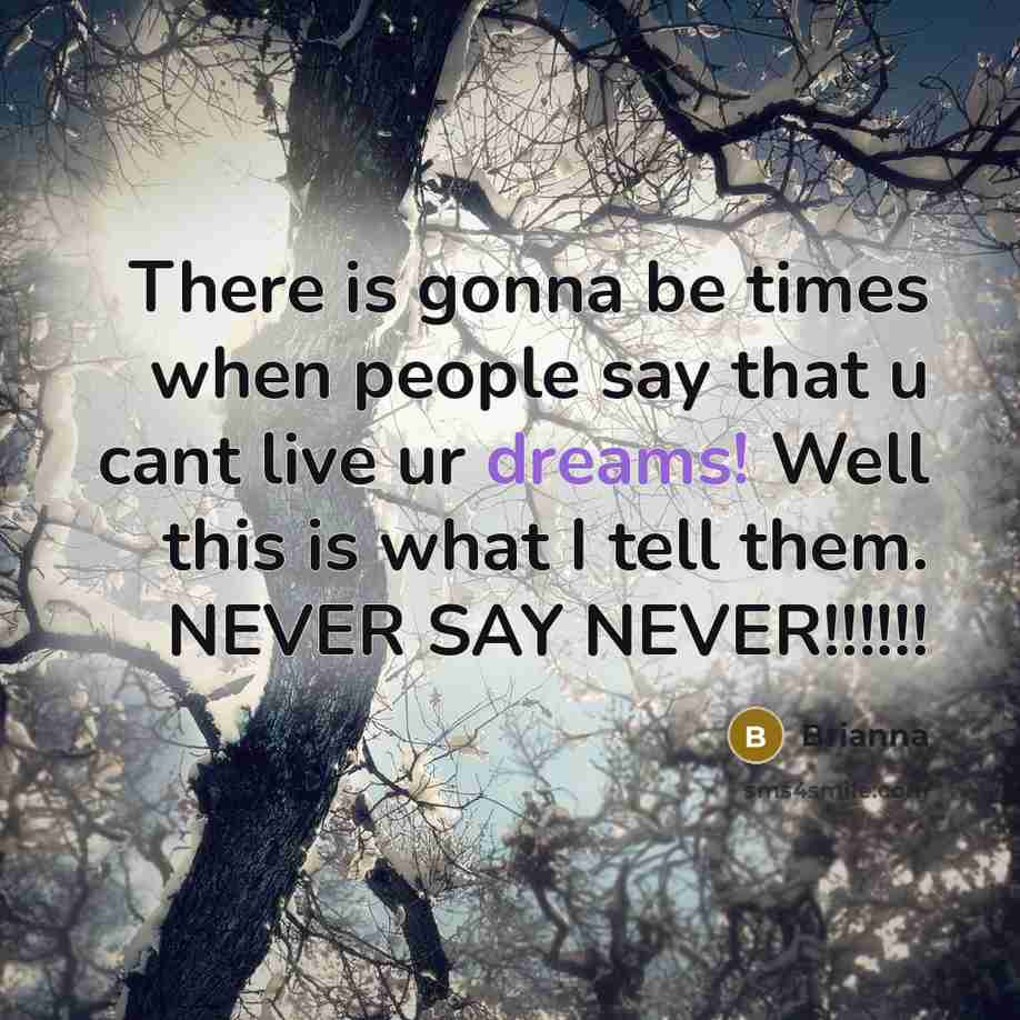 “There is gonna be times when people say that u cant live ur dreams! Well this is what I tell them. NEVER SAY NEVER!!!!!!” quote by Brianna
