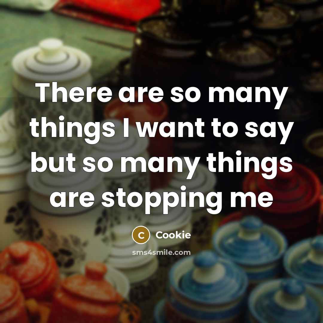 “There are so many things I want to say but…” quote by Cookie