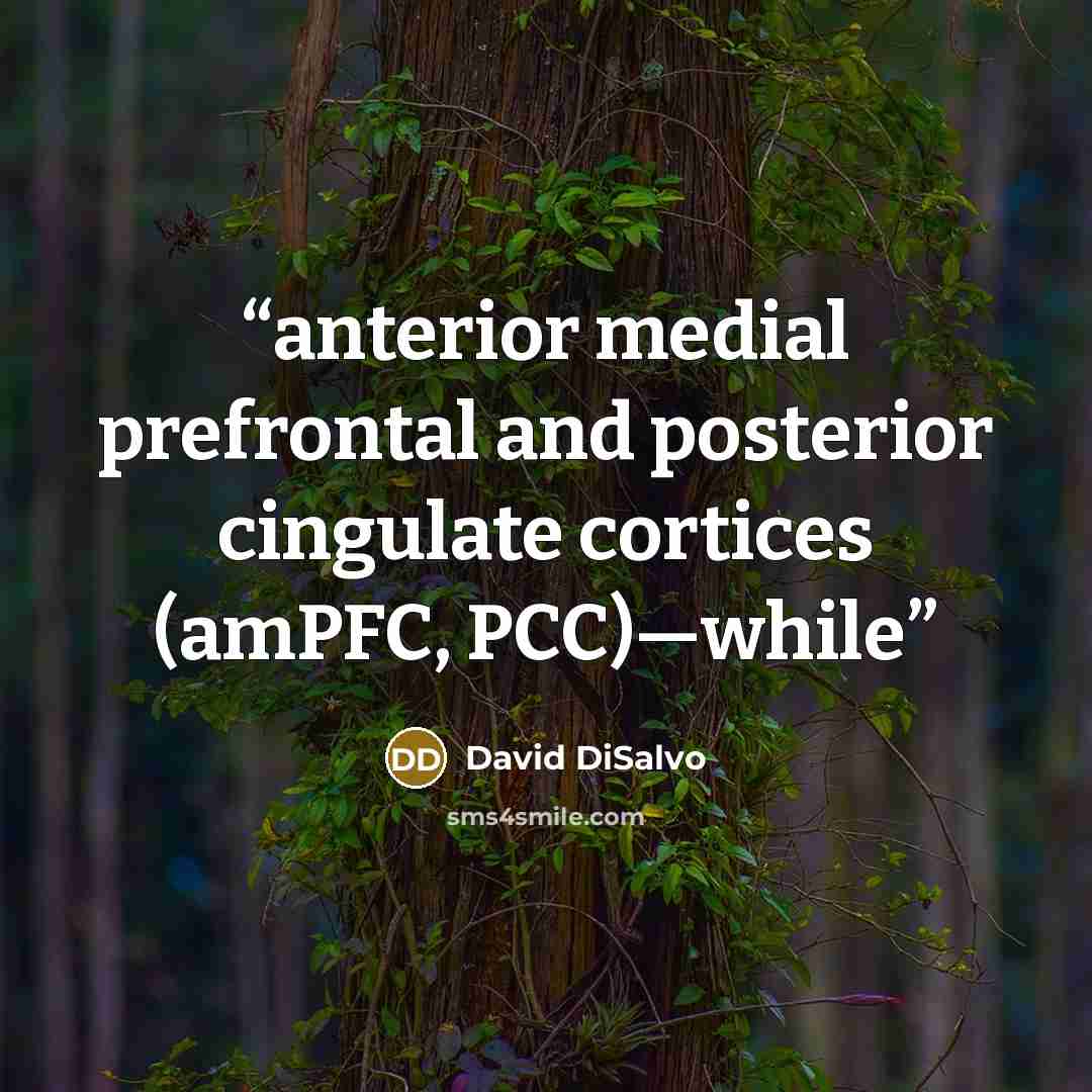 “anterior medial prefrontal and posterior cingulate cortices (amPFC, PCC)—while” quote by David DiSalvo