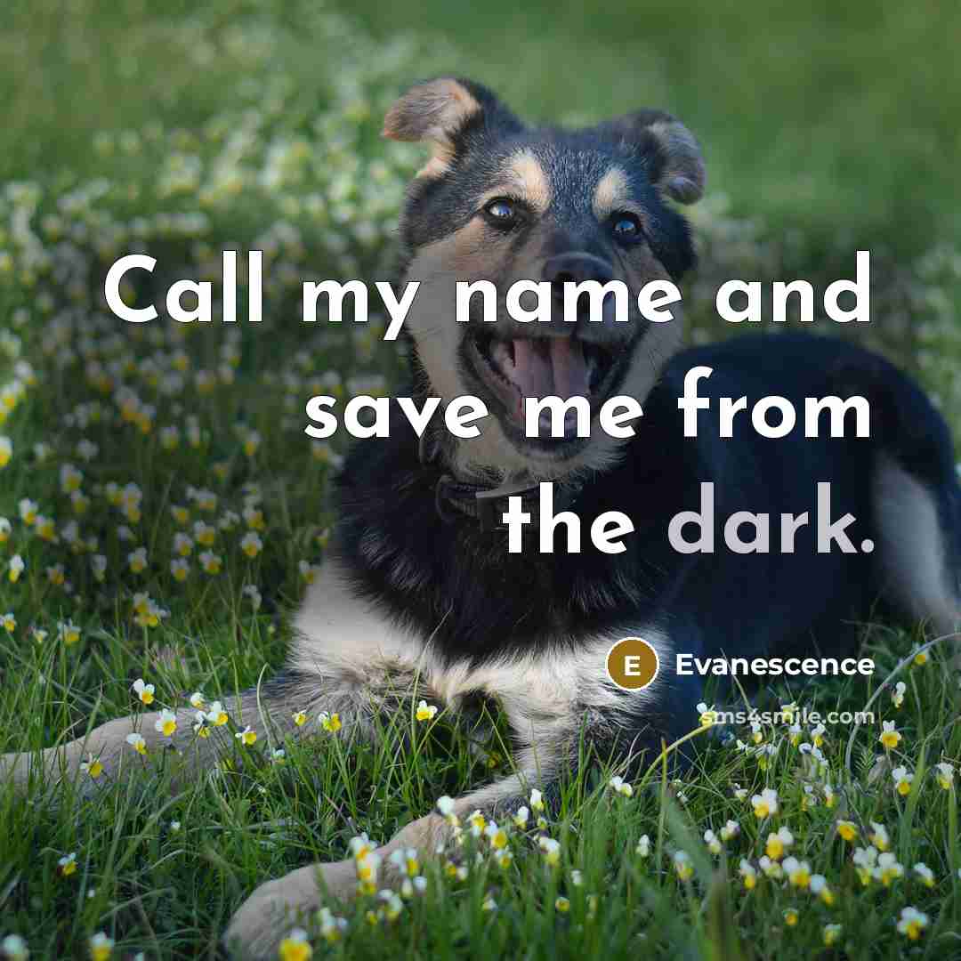 “Call my name and save me from the dark.…” quote by Evanescence