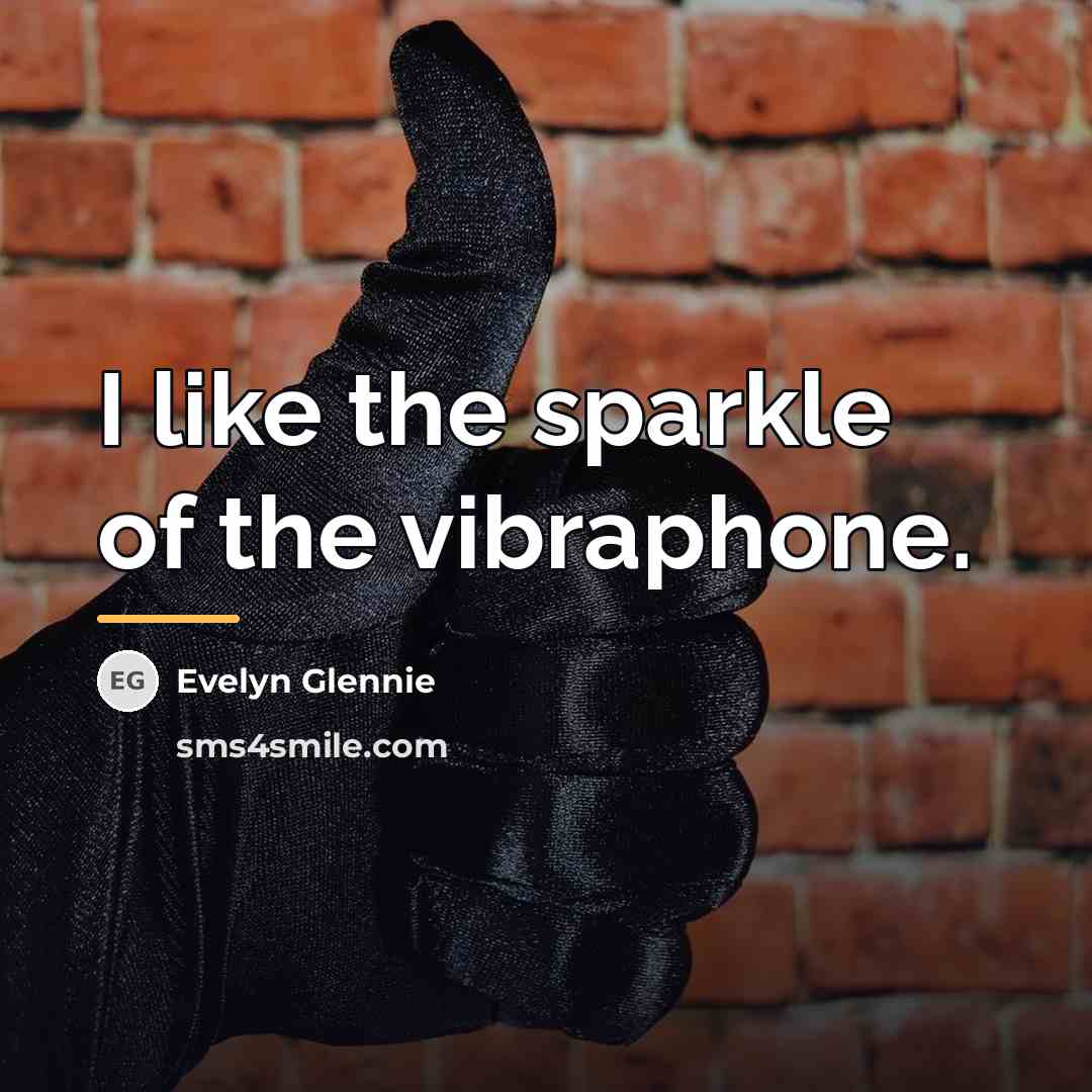 “I like the sparkle of the vibraphone.…” quote by Evelyn Glennie