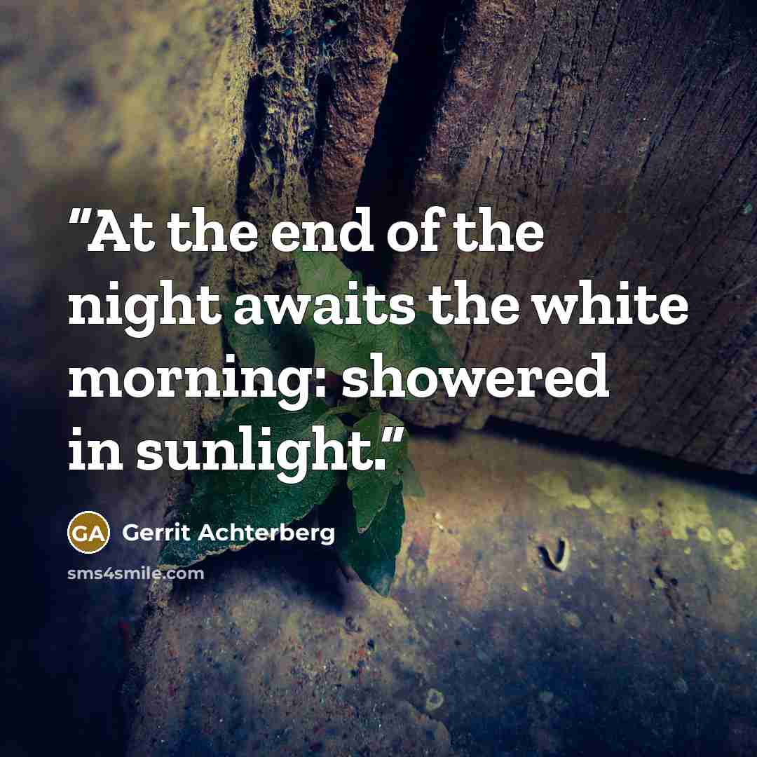 “At the end of the night awaits the white morning: showered in sunlight.” quote by Gerrit Achterberg