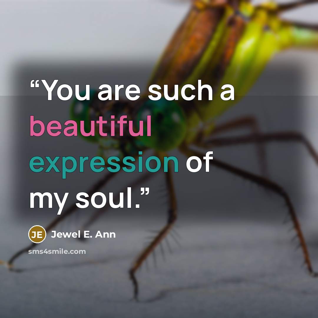 “You are such a beautiful expression of my soul.” quote by Jewel E. Ann