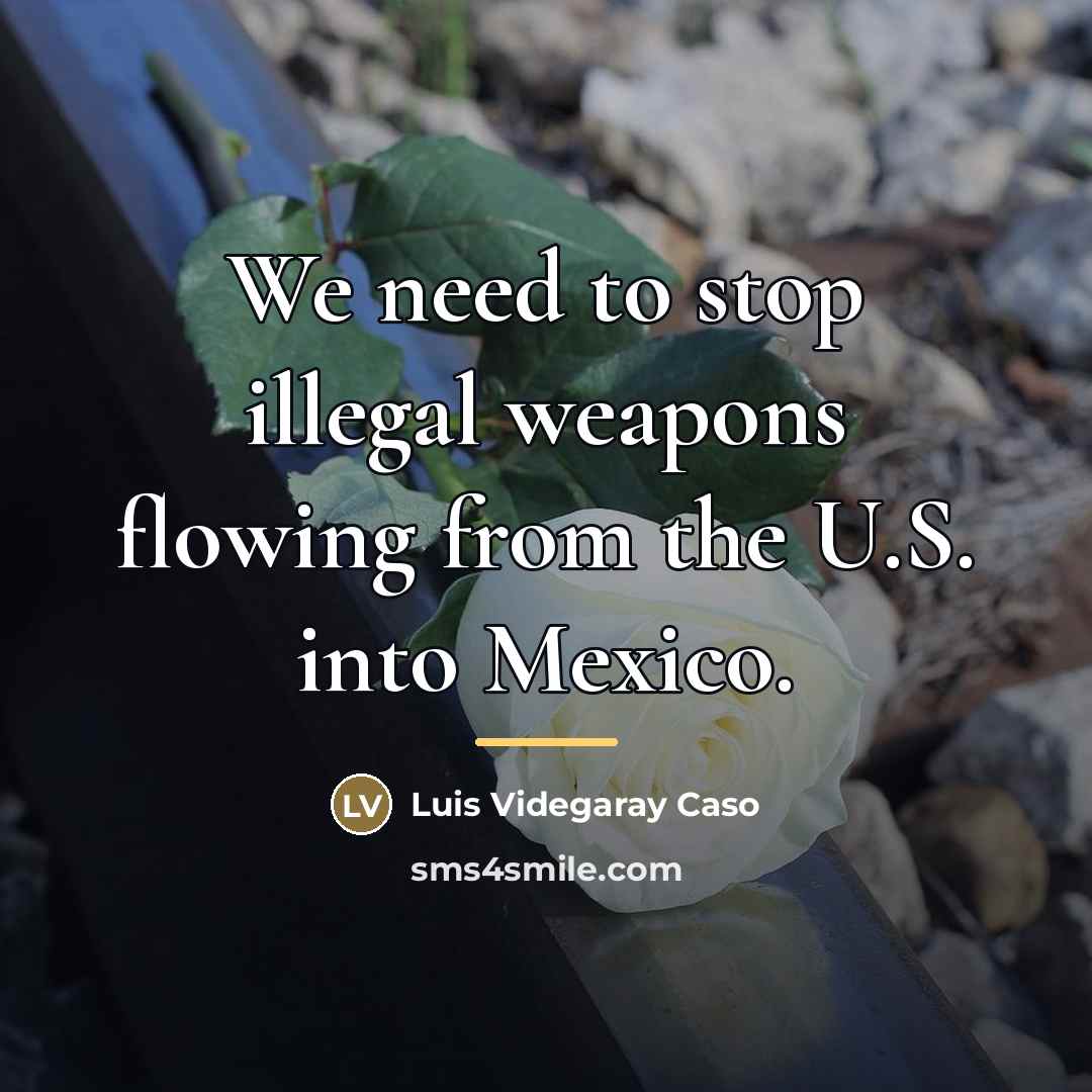 “We need to stop illegal weapons flowing from the U.S.…” quote by Luis Videgaray Caso