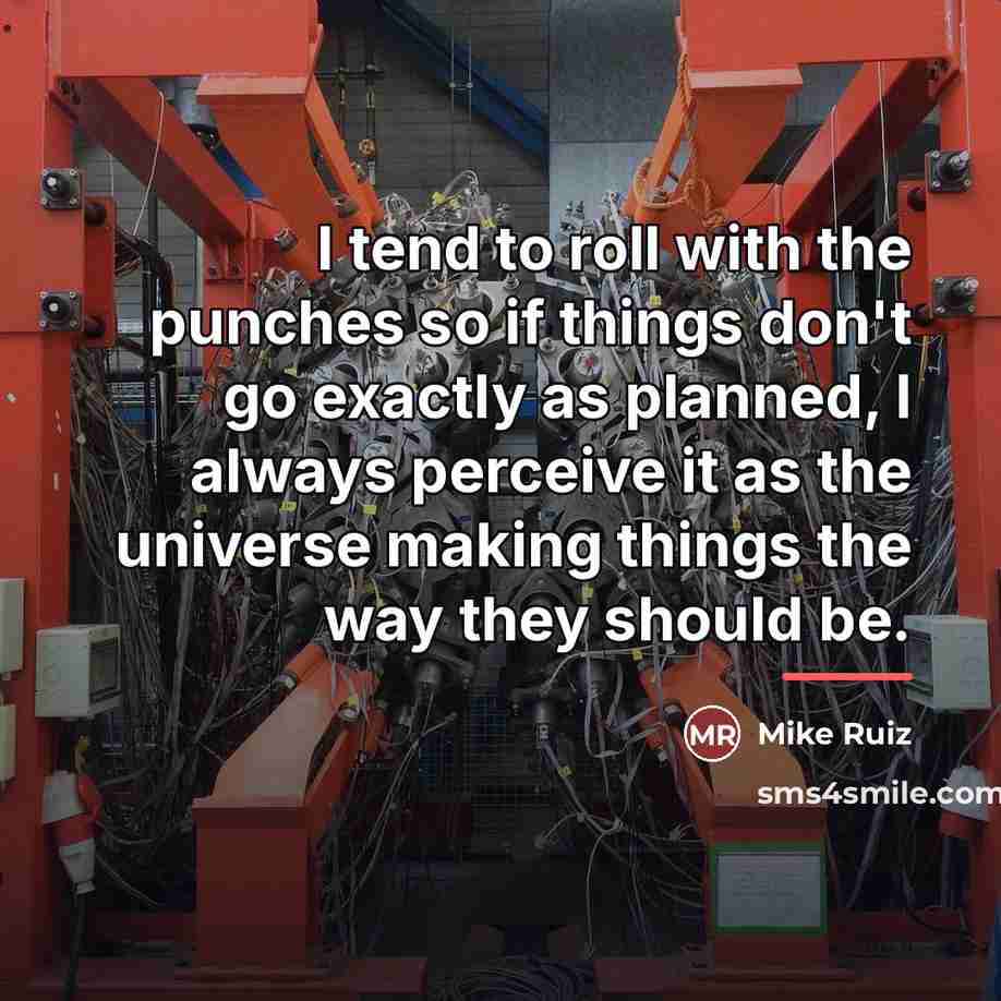 “I tend to roll with the punches so if things…” quote by Mike Ruiz