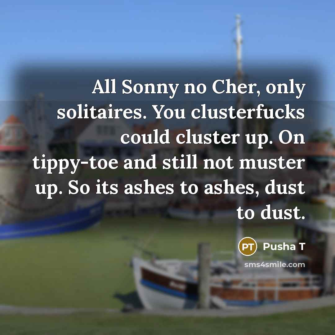 “All Sonny no Cher, only solitaires. You clusterfucks could cluster…” quote by Pusha T
