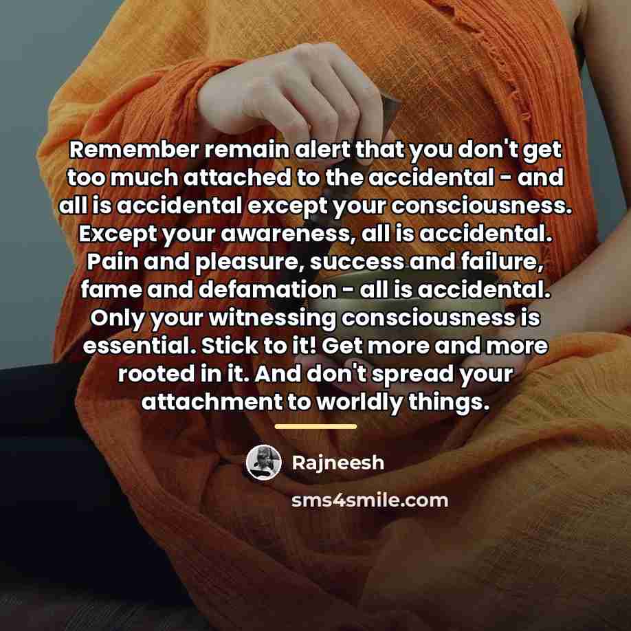 “Remember remain alert that you don't get too much attached…” quote by Rajneesh
