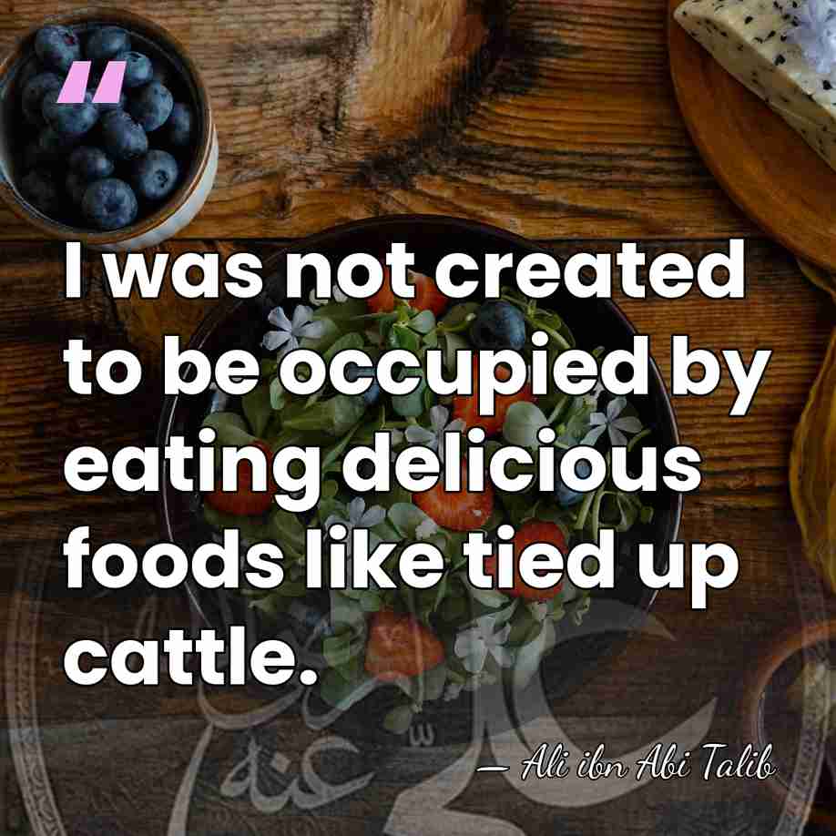 I was not created to be occupied by eating delicious foods like&hellip; - Ali ibn Abi Talib