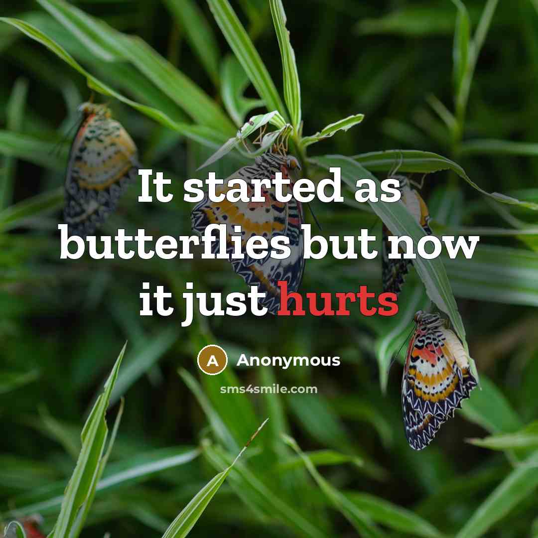 “It started as butterflies but now it just hurts” quote by Anonymous