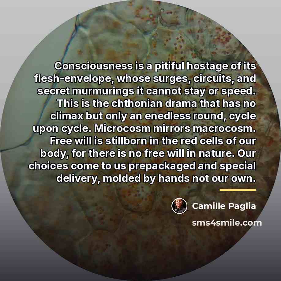 “Consciousness is a pitiful hostage of its flesh-envelope, whose surges,…” quote by Camille Paglia