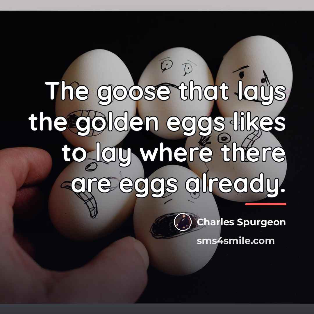 “The goose that lays the golden eggs likes to lay…” quote by Charles Spurgeon