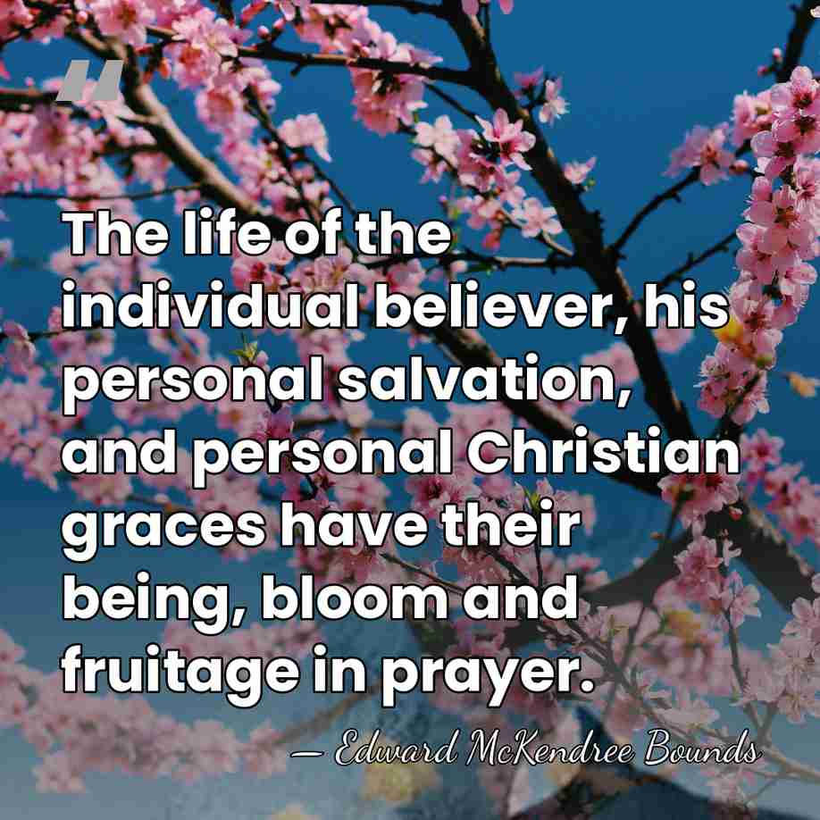 The life of the individual believer, his personal salvation, and personal Christian&hellip; - Edward McKendree Bounds