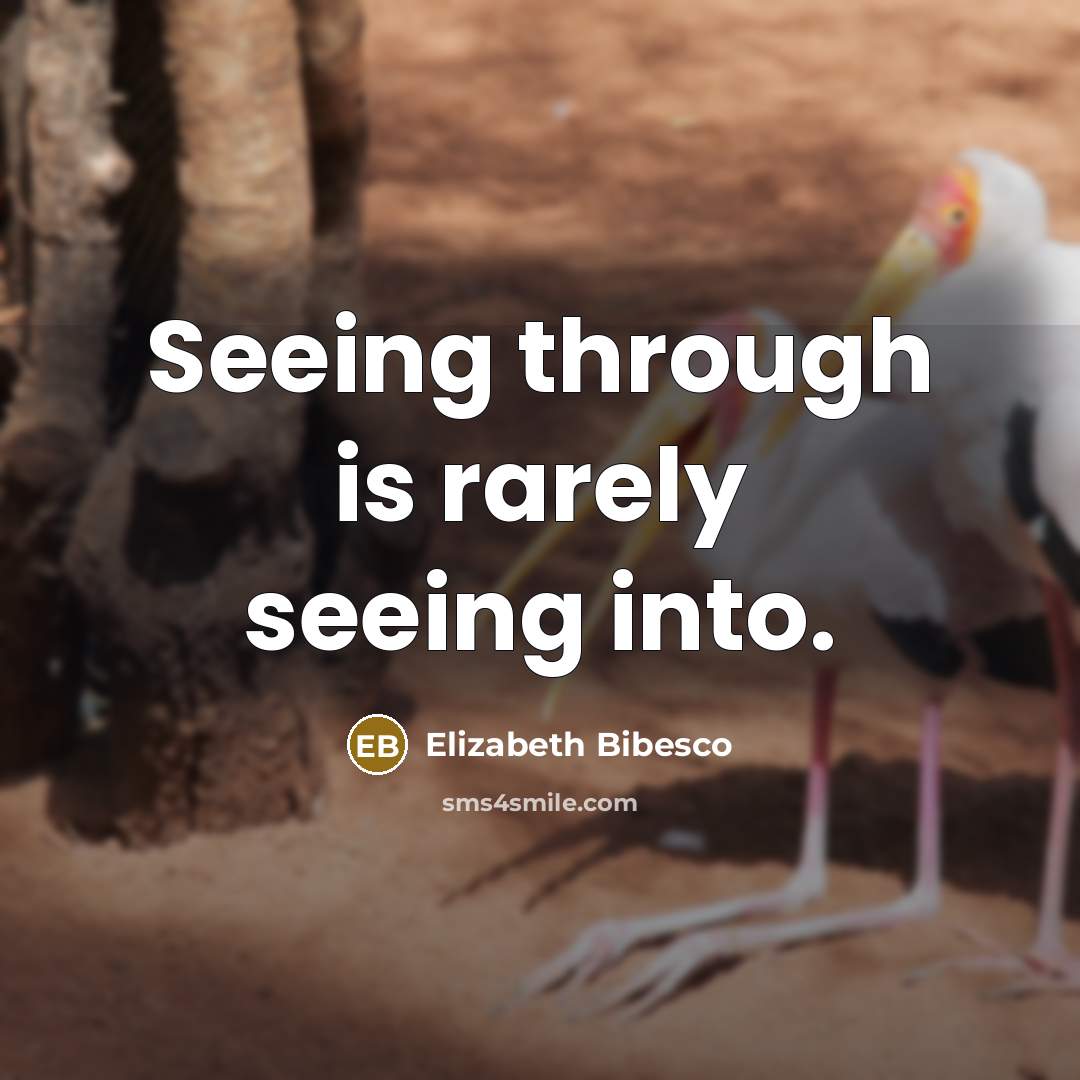 “Seeing through is rarely seeing into.” quote by Elizabeth Bibesco