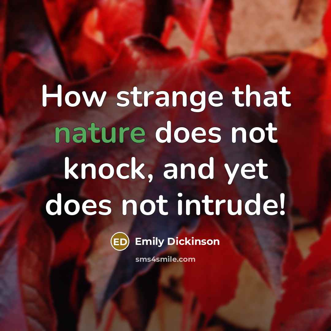 “How strange that nature does not knock, and yet does not intrude!” quote by Emily Dickinson