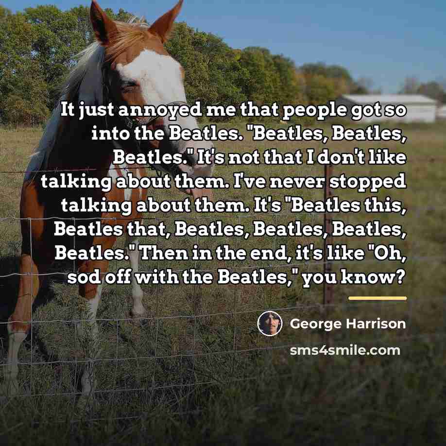 “It just annoyed me that people got so into the…” quote by George Harrison