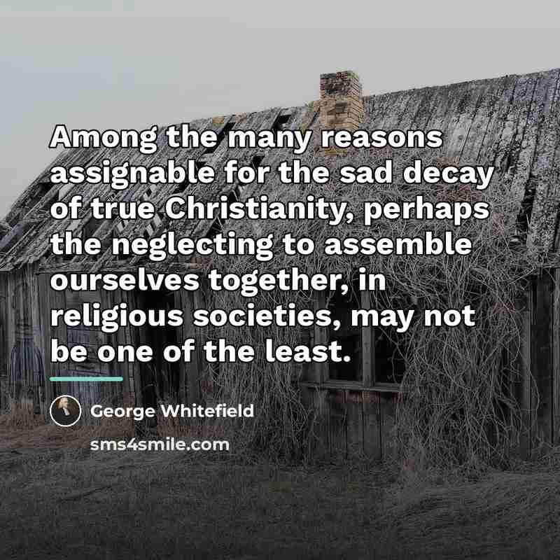 “Among the many reasons assignable for the sad decay of…” quote by George Whitefield