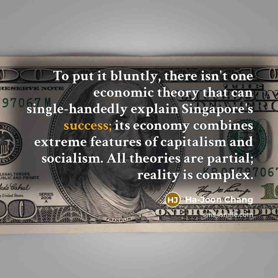 “To put it bluntly, there isn't one economic theory that…” quote by Ha-Joon Chang