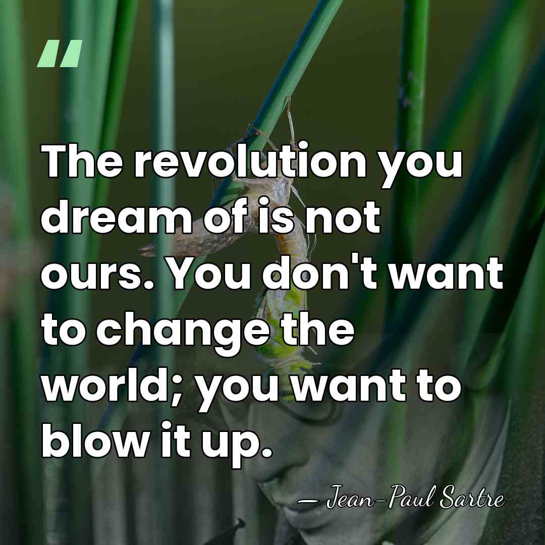 The revolution you dream of is not ours. You don't want to&hellip; - Jean-Paul Sartre