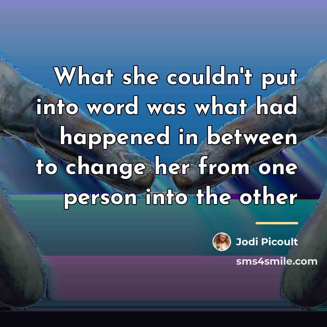 “What she couldn't put into word was what had happened…” quote by Jodi Picoult