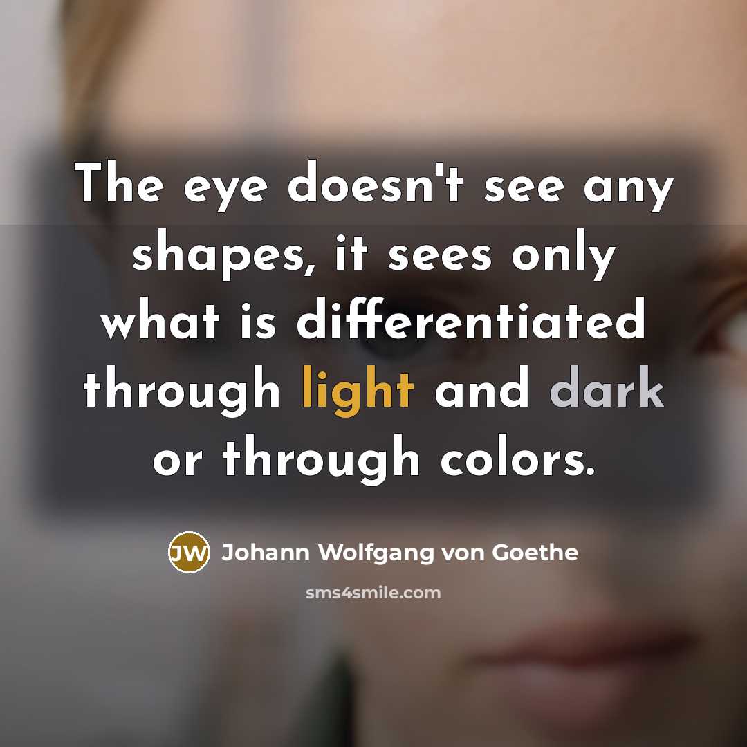 “The eye doesn't see any shapes, it sees only what…” quote by Johann Wolfgang von Goethe