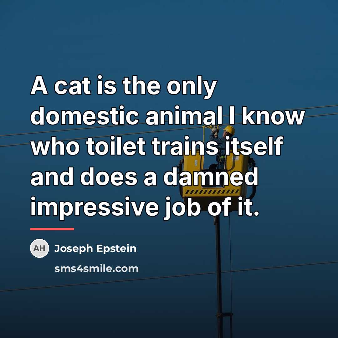 “A cat is the only domestic animal I know who…” quote by Joseph Epstein