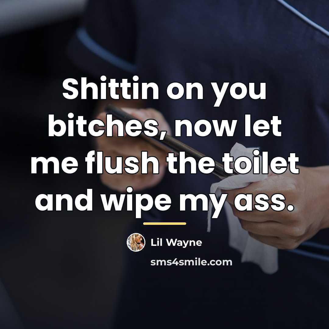 “Shittin on you bitches, now let me flush the toilet…” quote by Lil Wayne