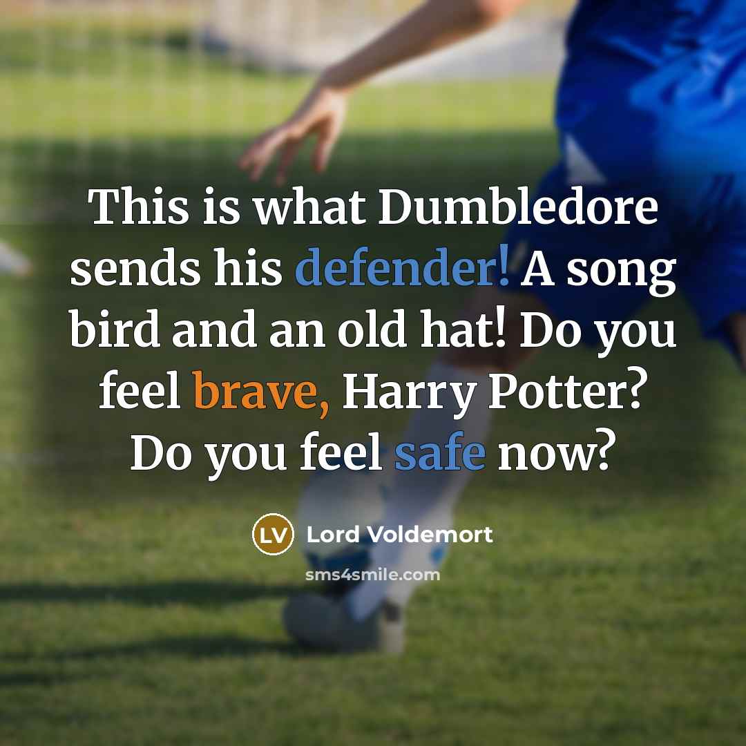 “This is what Dumbledore sends his defender! A song bird and an old hat! Do you feel brave, Harry Potter? Do you feel safe now?” quote by Lord Voldemort