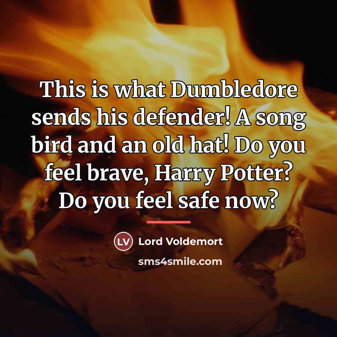 “This is what Dumbledore sends his defender! A song bird…” quote by Lord Voldemort